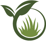 Strive Gladiolus Planting